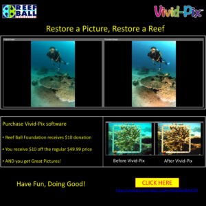 Reef Ball – Restore a Picture, Restore a Reef