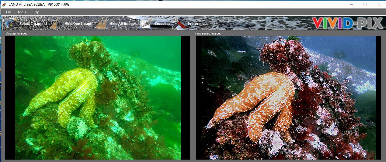 Starfish before after