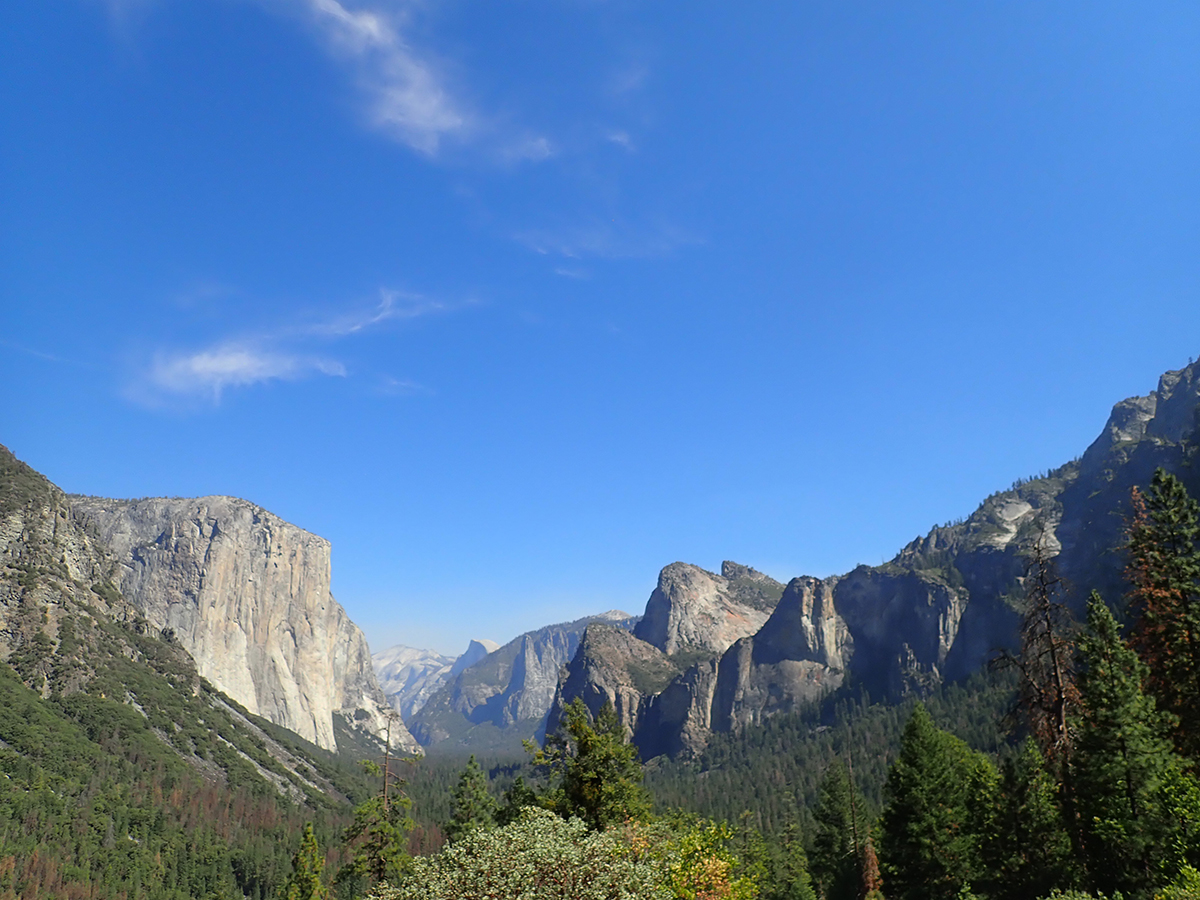 Yosemite my souvenir magnet shot