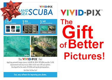 2017 VP Gift Card LSP